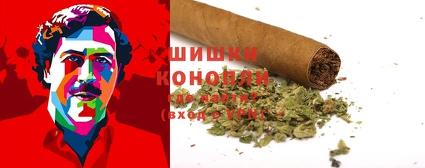 шишки Чита