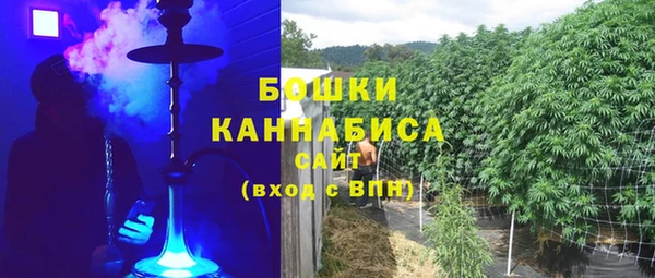 трава Билибино